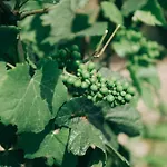 Loisium Wine & Champagne Mutigny