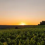 Loisium Wine & Champagne 4*