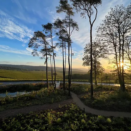 Loisium Wine & Champagne Mutigny