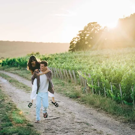 Hotel Loisium Wine&spa Champagne