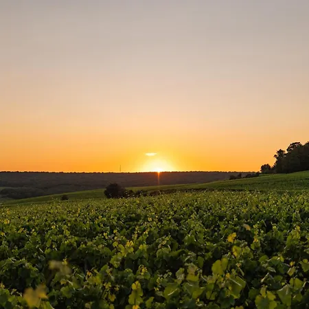 Loisium Wine&spa Champagne 4*