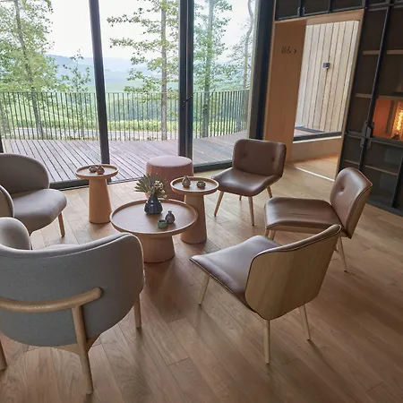 Отель Loisium Wine & Champagne