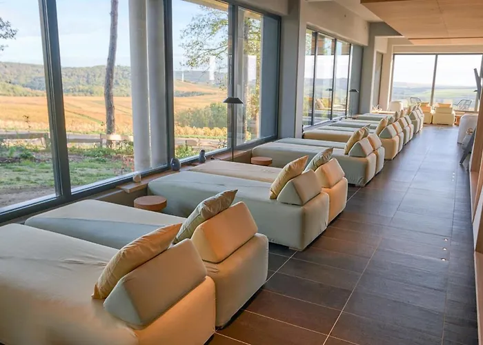 Loisium Wine&spa Champagne Hotel