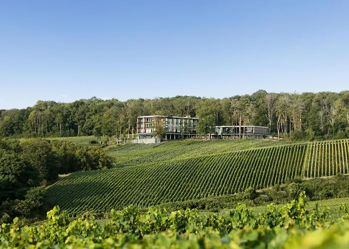 מלון Loisium Wine & Champagne 4*