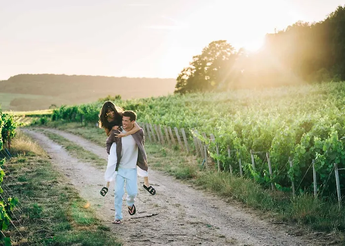 Hotel Loisium Wine & Champagne