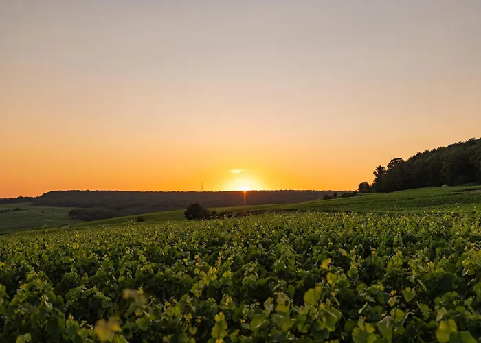 Loisium Wine&spa Champagne 4*