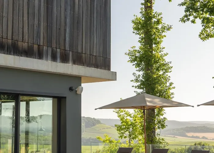 Loisium Wine & Champagne